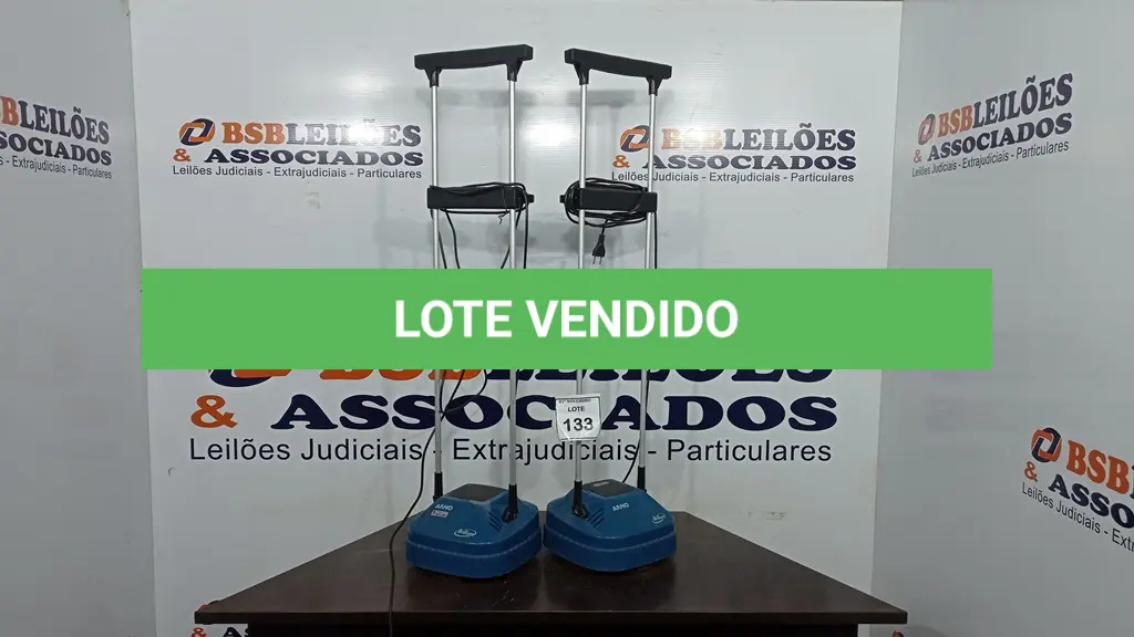 LOTE 133