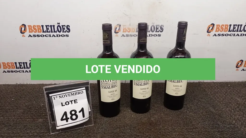 LOTE 481