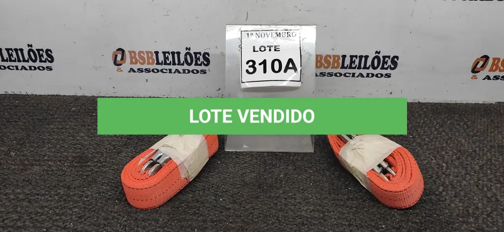 LOTE 310