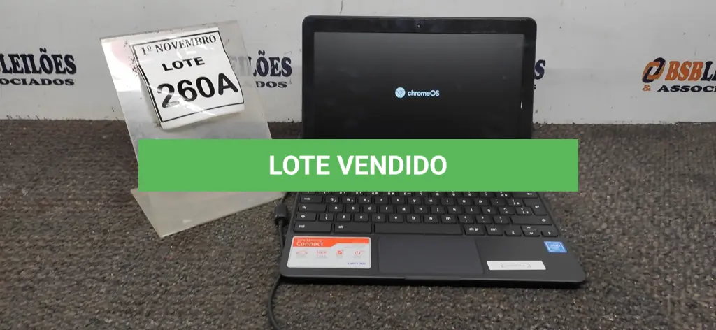 LOTE 260