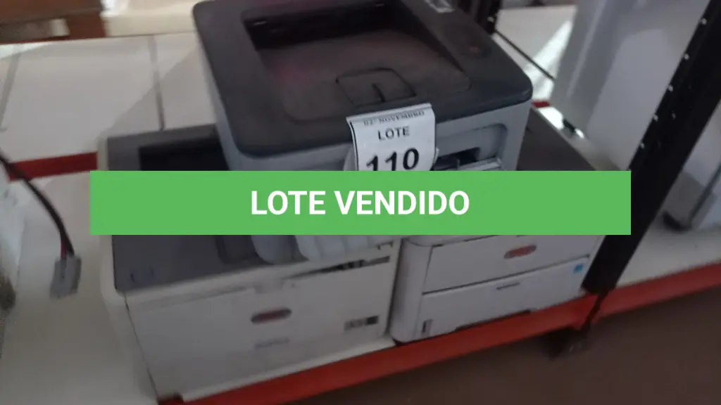 LOTE 110