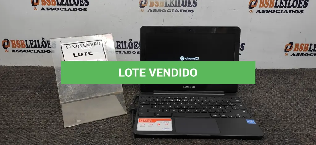 LOTE 300