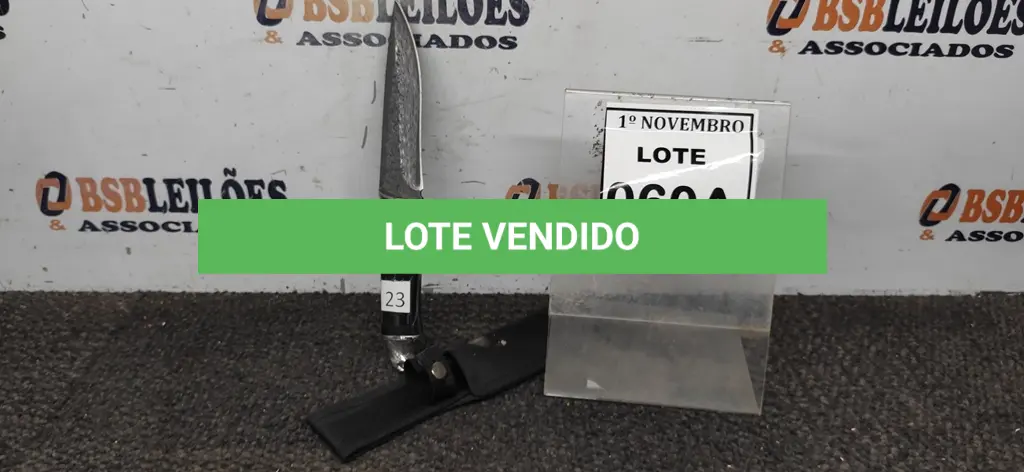 LOTE 060