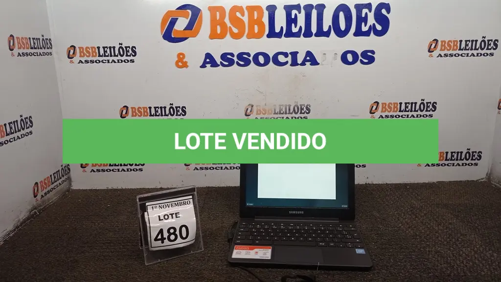 LOTE 480