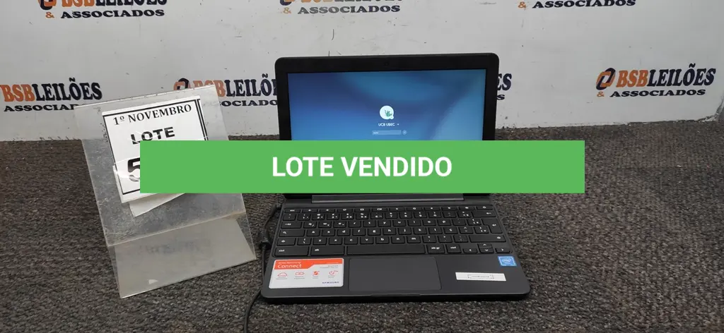 LOTE 509