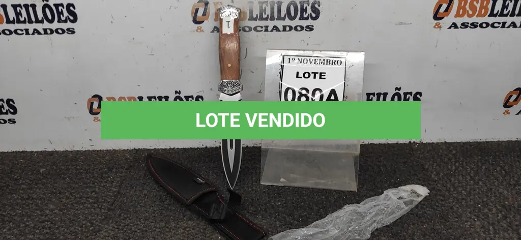 LOTE 080