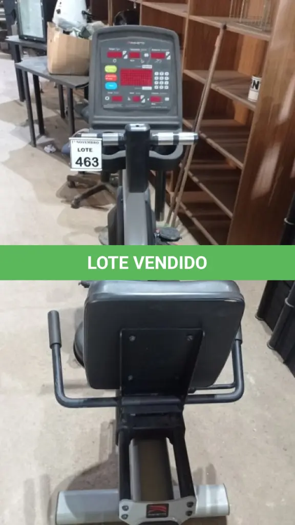 LOTE 463