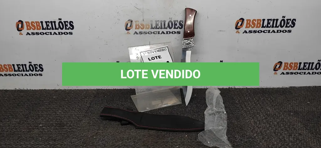 LOTE 100