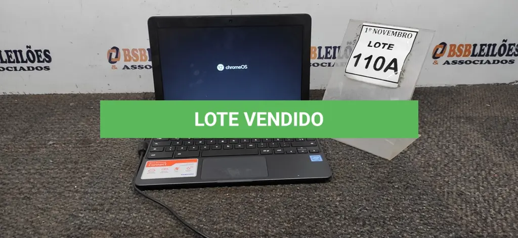 LOTE 110