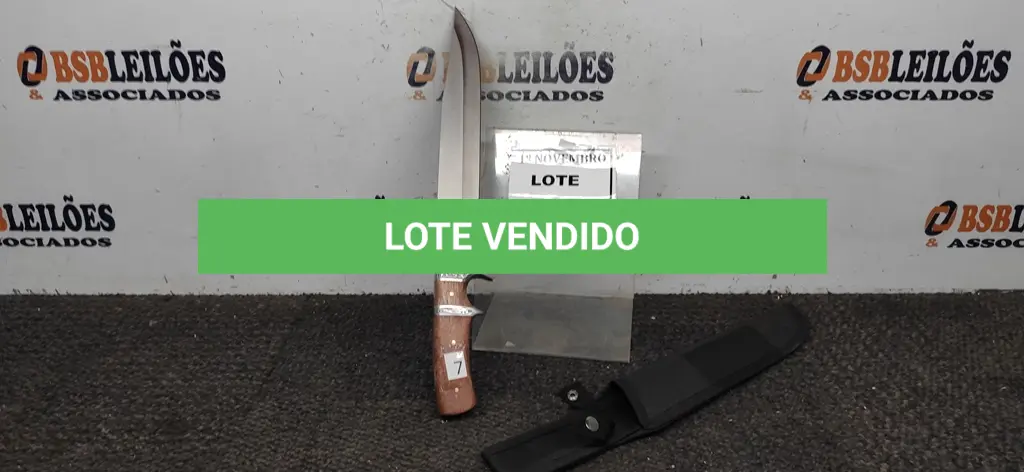 LOTE 030