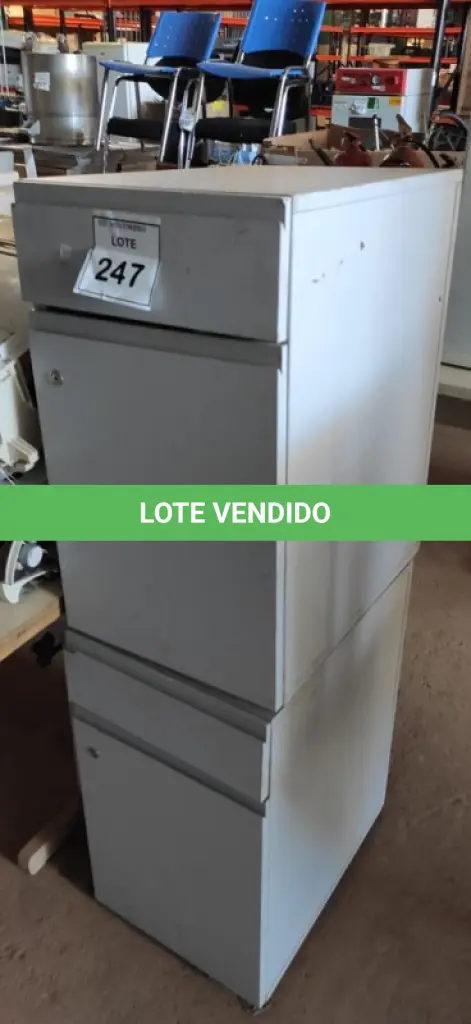 LOTE 247