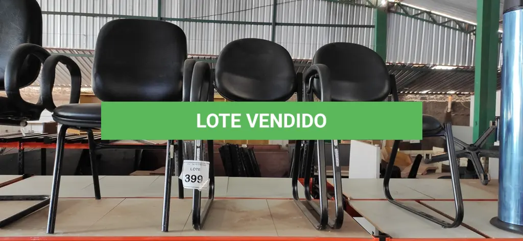 LOTE 399