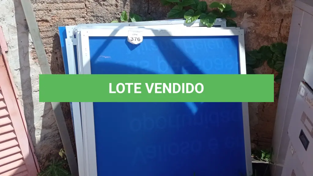 LOTE 376
