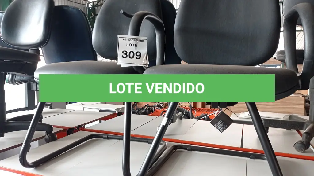 LOTE 309