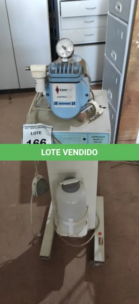 LOTE 166