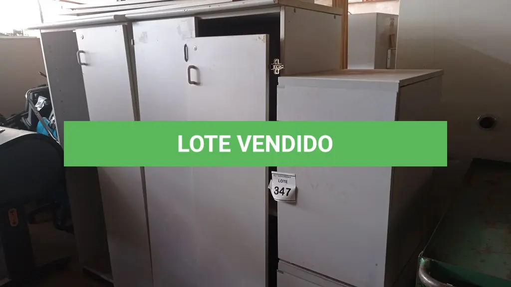 LOTE 347