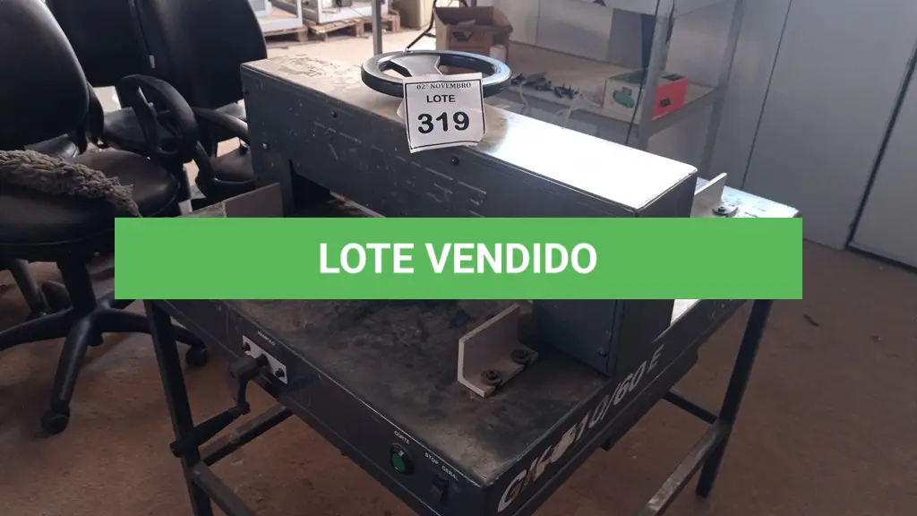 LOTE 319