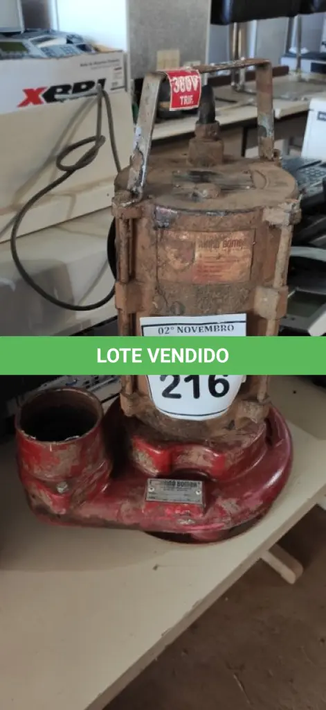 LOTE 216