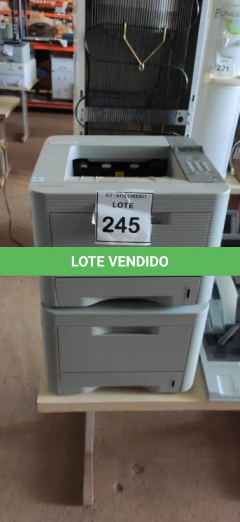 LOTE 245