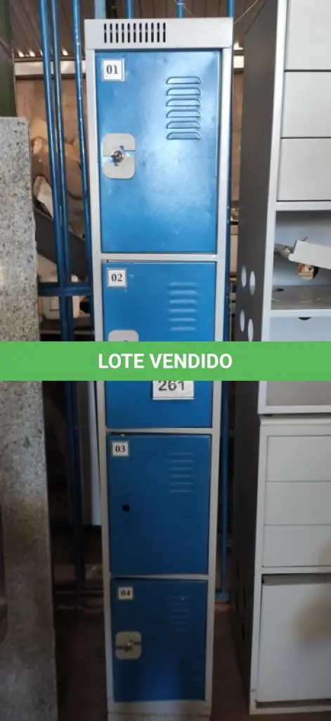 LOTE 261