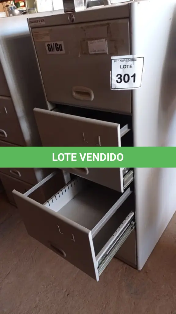 LOTE 301