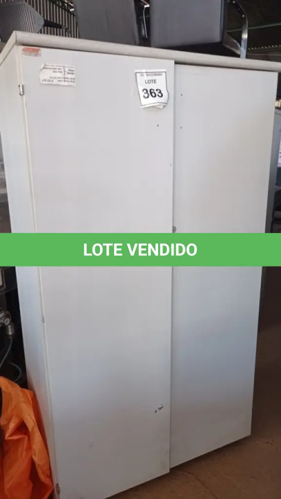 LOTE 363