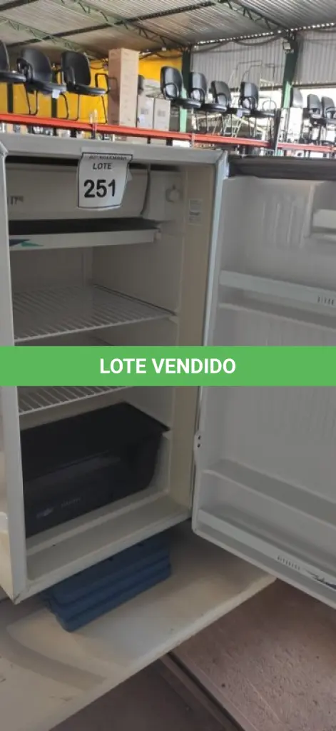 LOTE 251