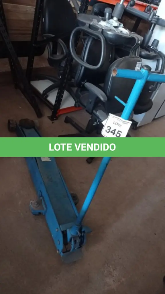 LOTE 345