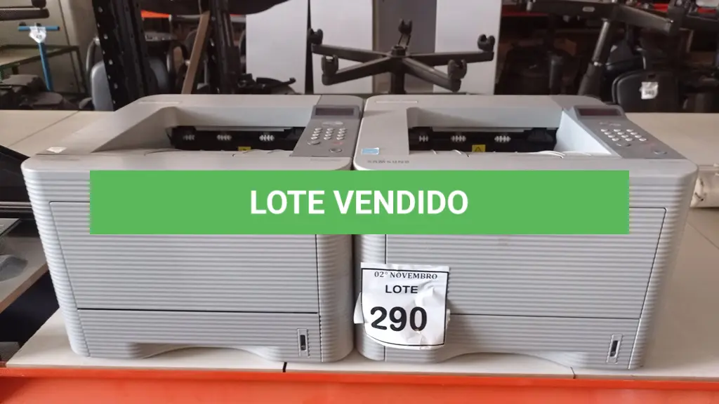 LOTE 290