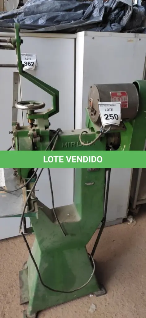 LOTE 250