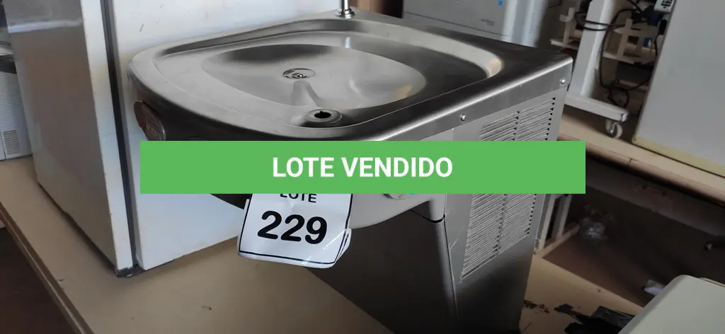 LOTE 229