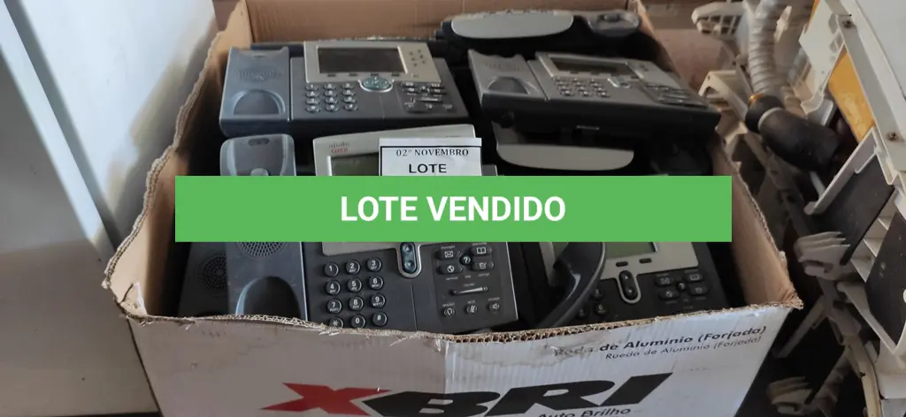 LOTE 249