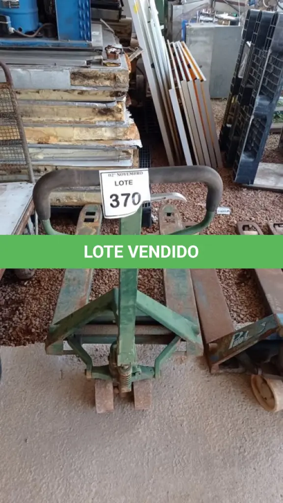LOTE 370