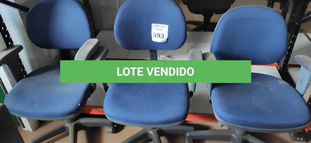 LOTE 393