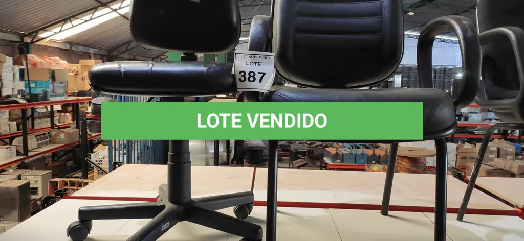 LOTE 387