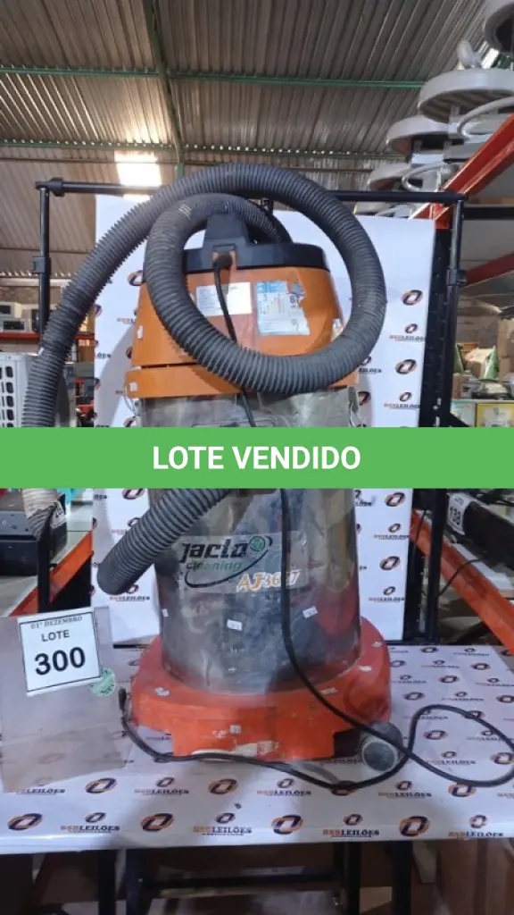 LOTE 300