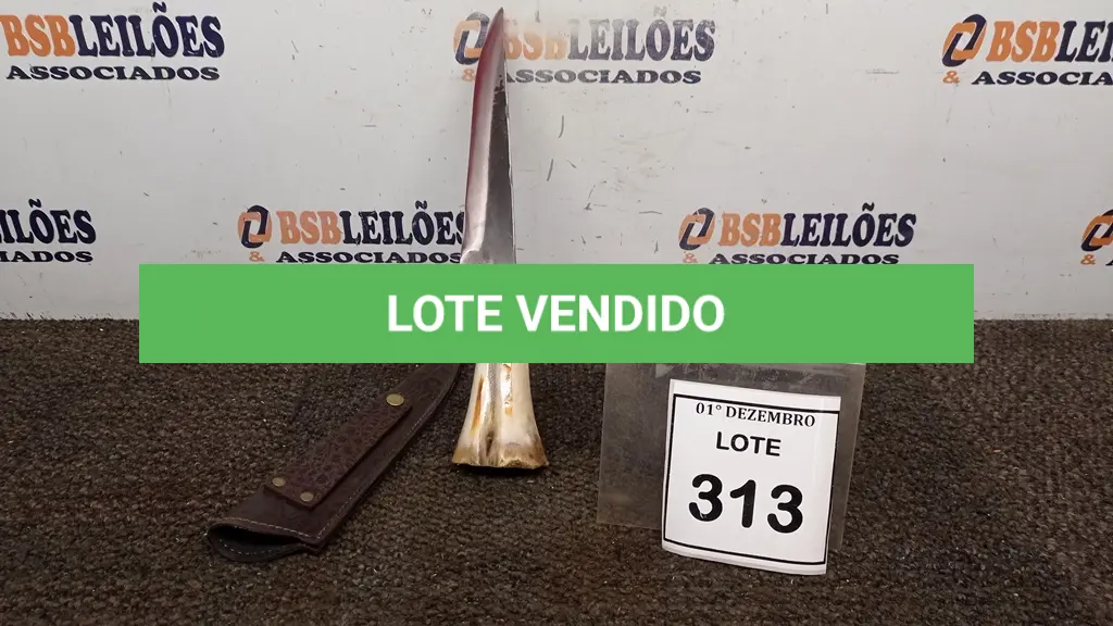LOTE 313
