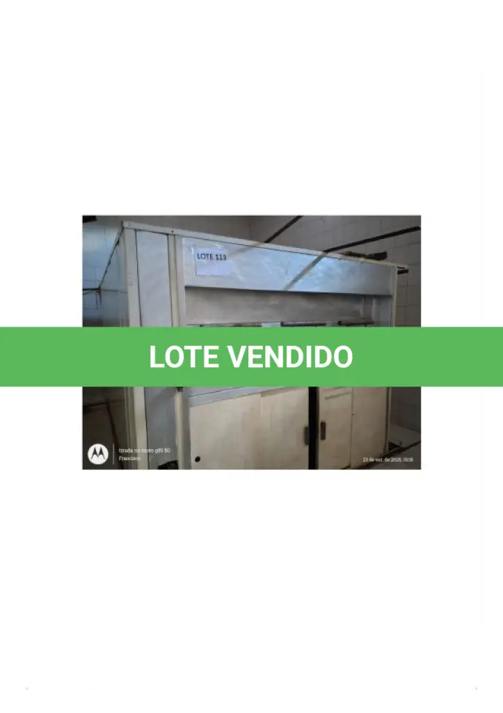 LOTE 113