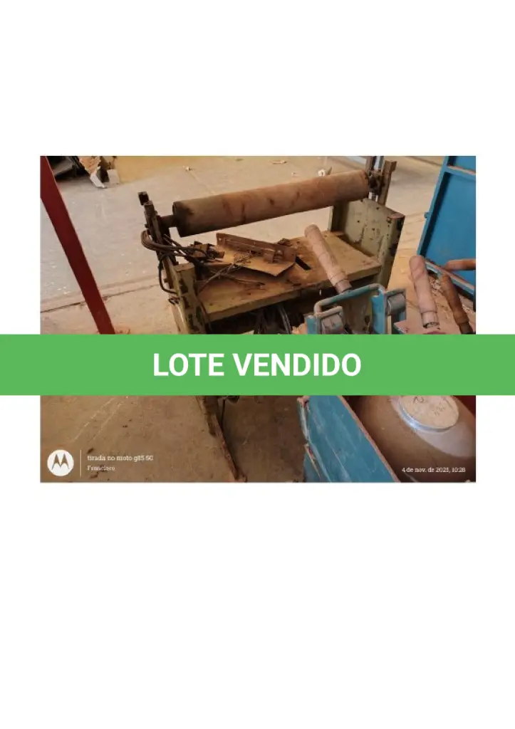 LOTE 118