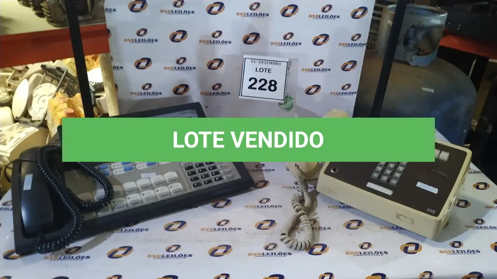 LOTE 228
