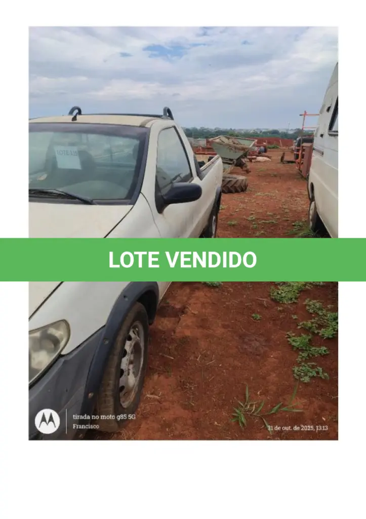 LOTE 119