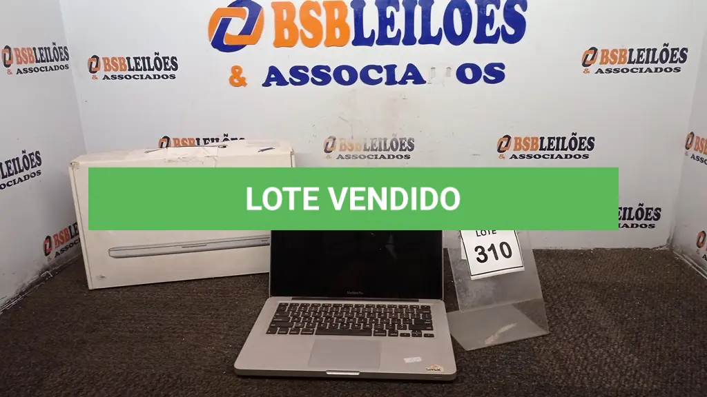 LOTE 310