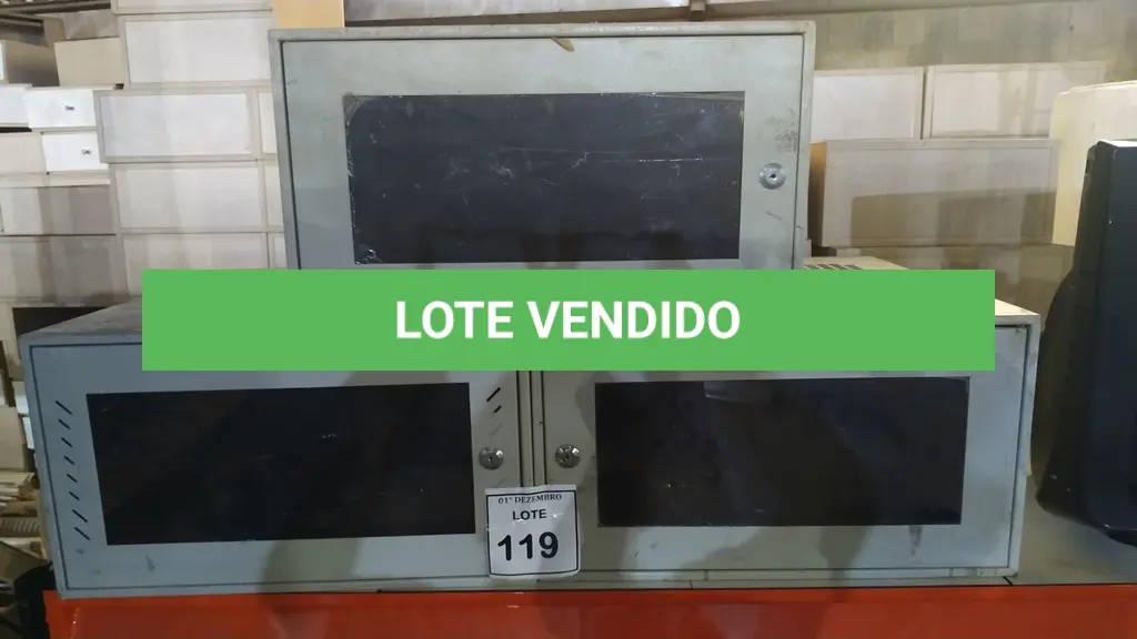 LOTE 119