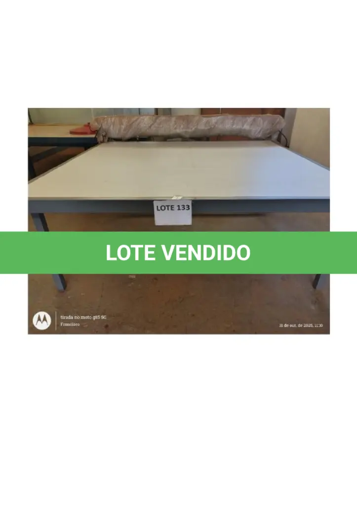 LOTE 133