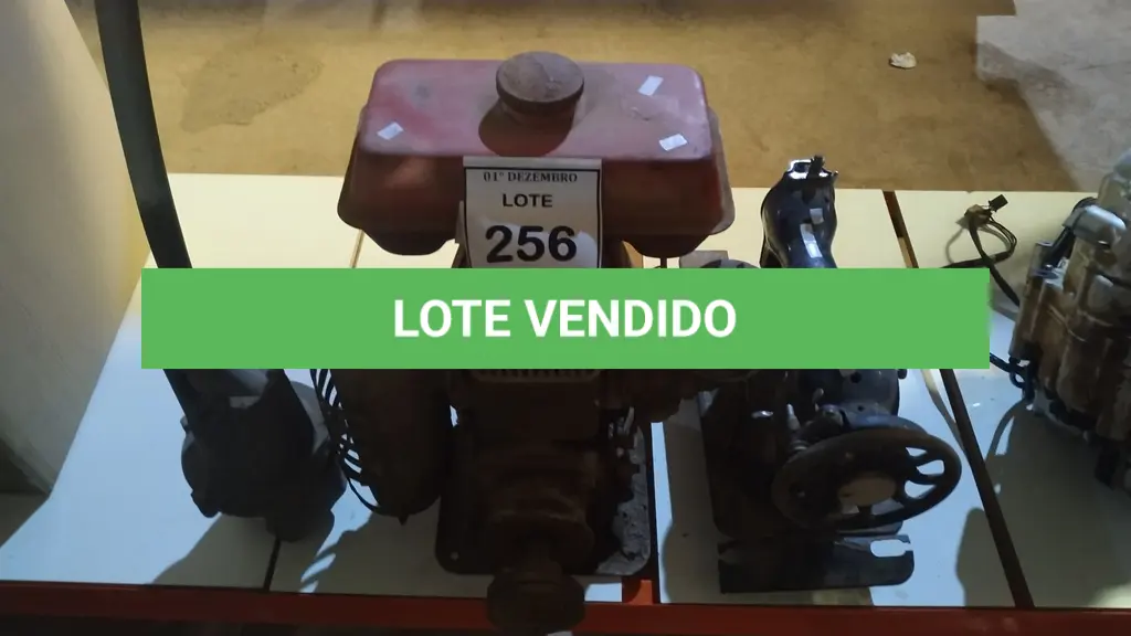 LOTE 256