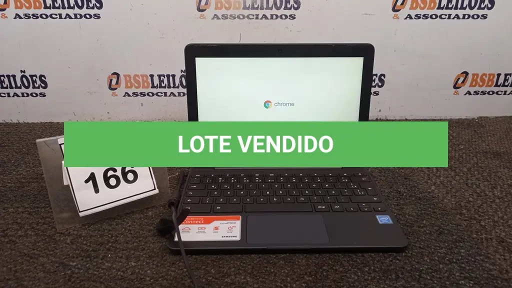 LOTE 166