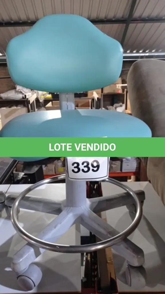 LOTE 339