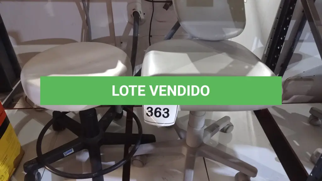LOTE 363