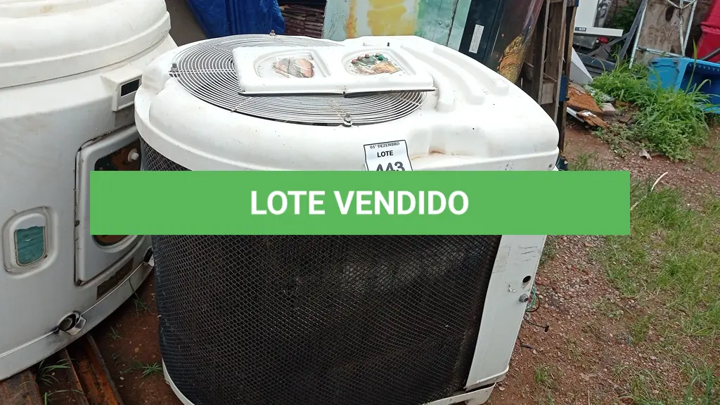 LOTE 443