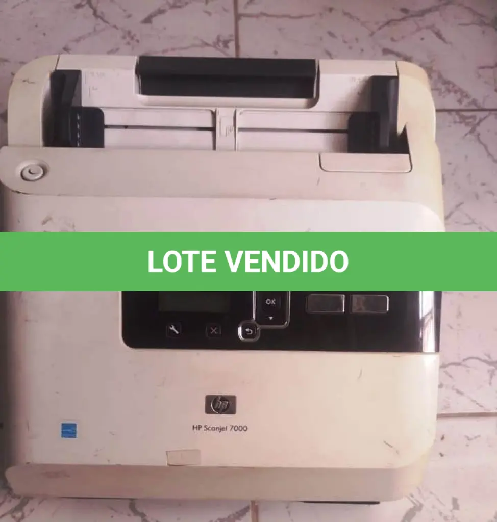 LOTE 419